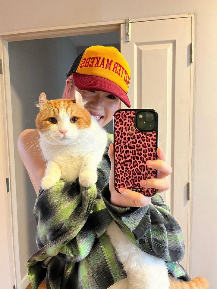 B&P Leo
