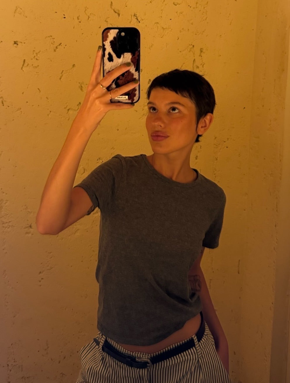 Cow Calico